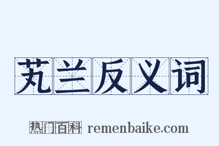 芄兰反义词是什么意思的图片